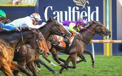 Caulfield victory for Mr Exclusive