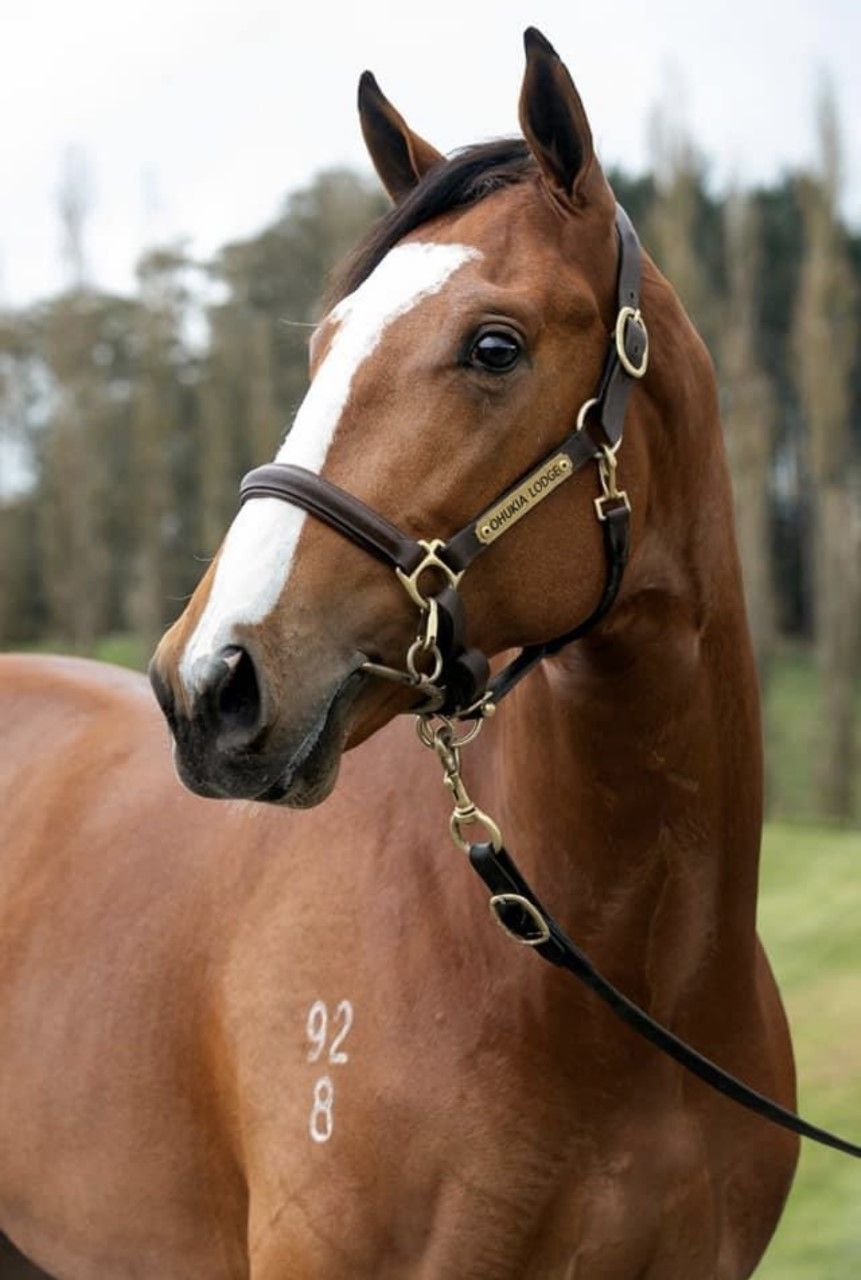 Home Page - Matthew Brown Racing