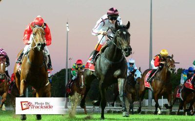 Newcomers in spotlight with Friday night double