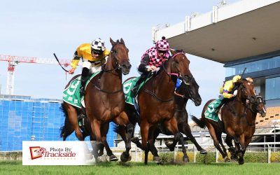 Tambo’s Mate proves Stradbroke credentials