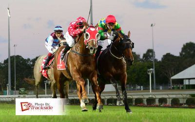 Quinella horses off to the Group 1 JJ Atkins