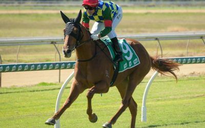 Starfilly brings home the QTIS cash