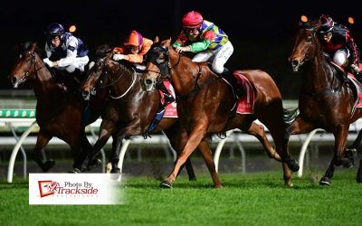 Bombarding announces arrival in Queensland