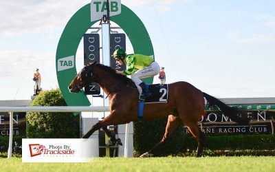 I Dream Of Green shows his best at Doomben