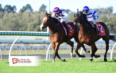 Stable fires shot with winning treble at Caloundra