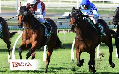 Galloper finishes like a cyclone for outstanding win