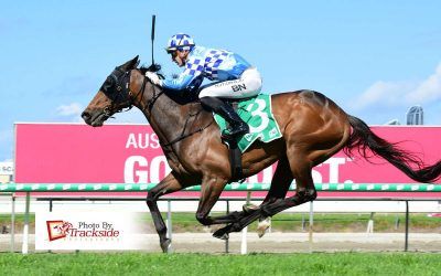 Fastnet Cyclone blowing away rivals in staying races