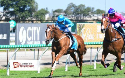 Niewand scores hat-trick of Gold Coast wins