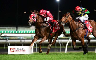 Superare wins as stable quinellas the race