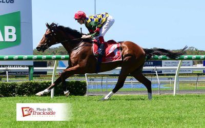 Stable wins another two-horse match race