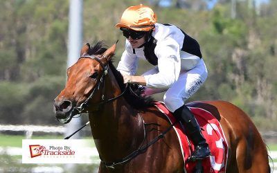 Stable saddles up home track metropolitan double