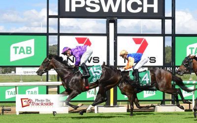 Written Tycoon filly may have struck ‘purple’ patch of form