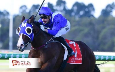 Mister Larrabee does a ‘Winx’ to rivals at Sunshine Coast