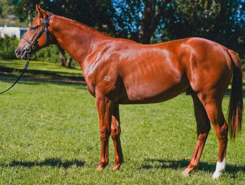 Join Kendrick Racing Kendrick Racing Stables