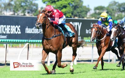 Superare bounces back with golden win at the Coast