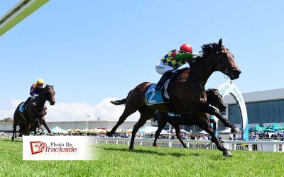 Nor Force returns with stunning win at first run in a year