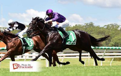 Ping does as his name suggests to win on debut