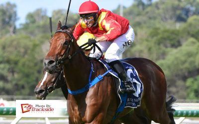 La Amigo scorches the turf for another Caloundra win