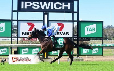 Sebring Girl makes mess of rivals on heavy Ippy track