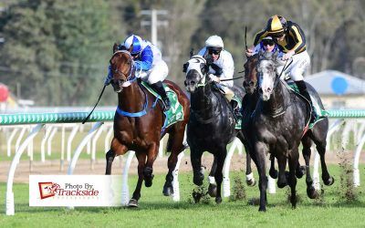 Checkers wins again and snares treble for stable