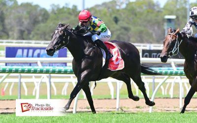 Rose Of Duporth’s form blooms over mile