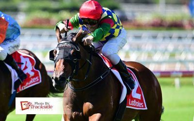 Lost In Transit finds his way to victory at Eagle Farm
