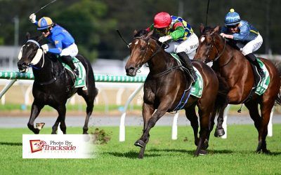 Easy Company now looking for harder grade after win