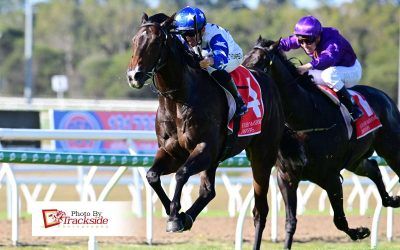 Galloper ‘defiant’ in strong debut victory