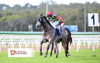 Winning duo eyeing more success on Cup Day