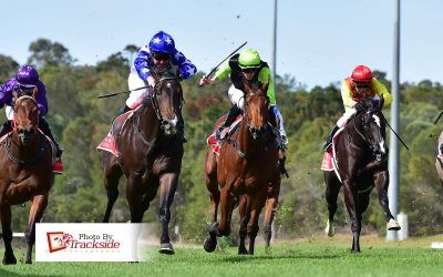 Stable celebrates Cup Day with exciting double