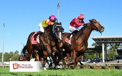 Double caps stable’s 10th premiership