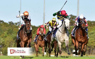 Stable leads home the pack with four winners in one day