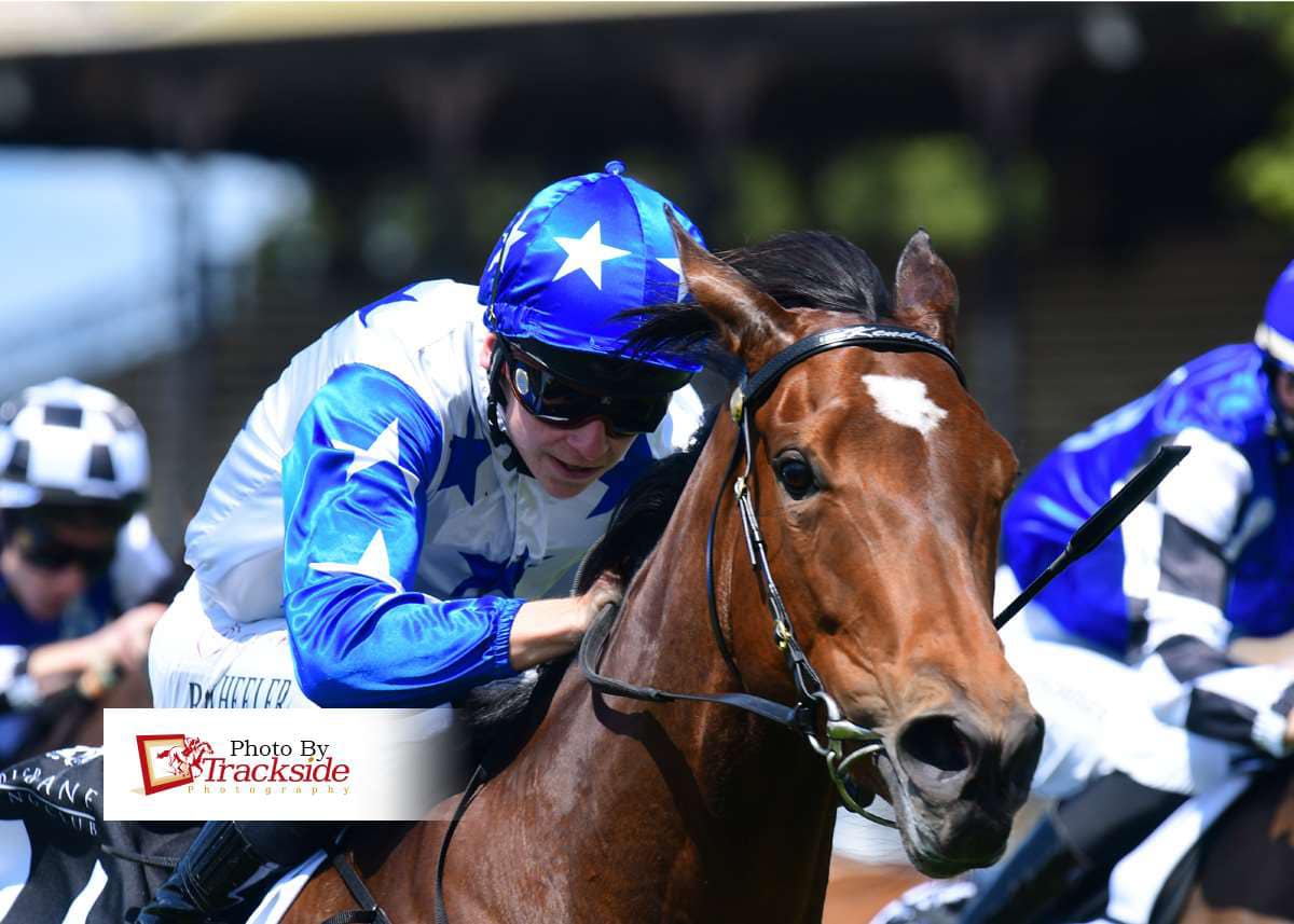 KendrickWheeler juggernaut keeps rolling on Kendrick Racing Stables