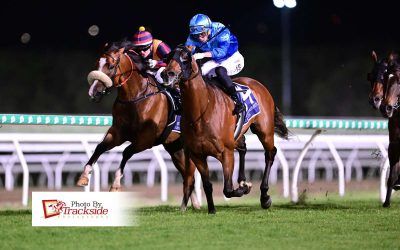 Gallopers go back-to-back for double under lights.
