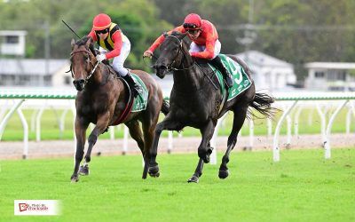 Filly hits winning heights at race debut