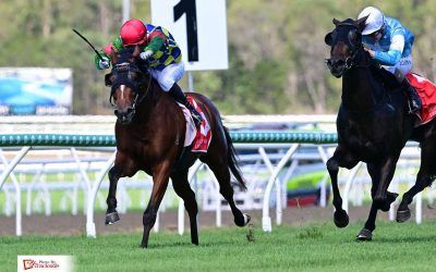 Galloper’s staying credentials on show