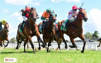 Galloper ‘storms’ home at Ipswich to break through