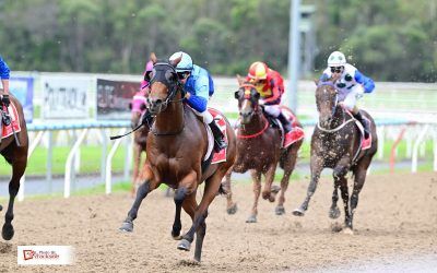 Stable notches another big haul at home