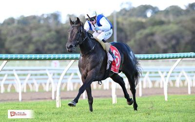 Gallopers show ‘enterprise’ for stable double