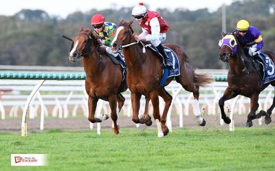 Connections eying a ‘motza’ after sensational win