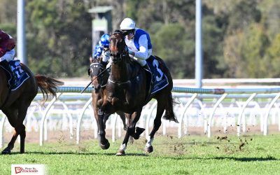 Enterprise Lucia repeats first-up success over 1000m