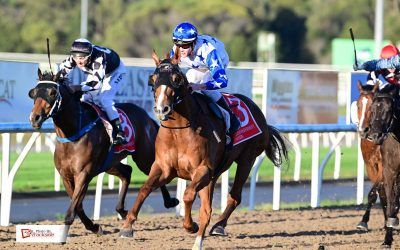 Double on poly track ultimate outcome for stable