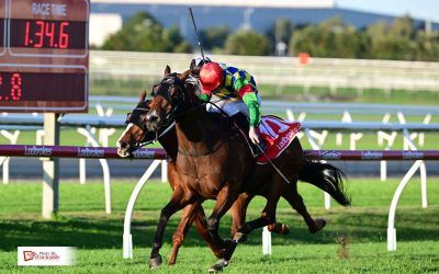 Tidal Creek scores metropolitan win on quick back-up