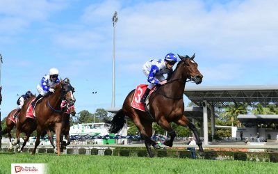 Stable saddles up midweek double and quinella