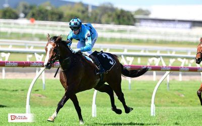 Stable has ace up sleeve with exciting Out Of Aces