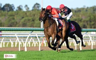 Three-year-olds chasing more success after breaking through