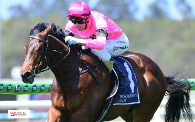 Luva Flutta charts course towards Magic Millions