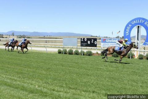 Gibbon - Wendy Kelly Racing