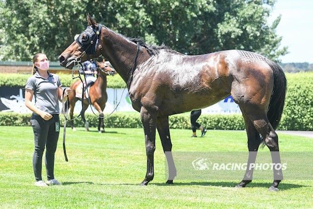 Love The Look Wendy Kelly Racing