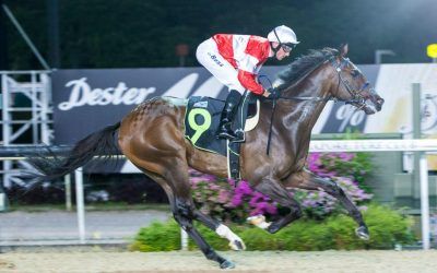 Wecando aimed at Singapore Guineas